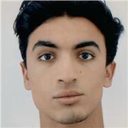 Étudiant en école d'ingénieur. Donne cours de maths et physique (collège et lycée) par sur Toulouse et environ